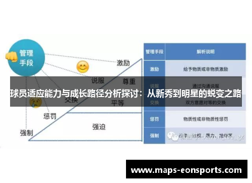 球员适应能力与成长路径分析探讨：从新秀到明星的蜕变之路