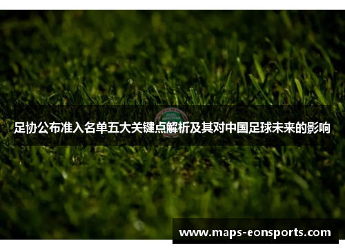 足协公布准入名单五大关键点解析及其对中国足球未来的影响